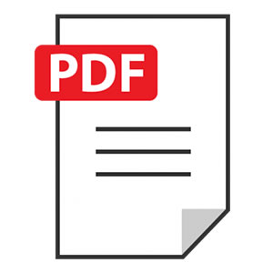 【ベーシック】ダウンロード版(PDF)